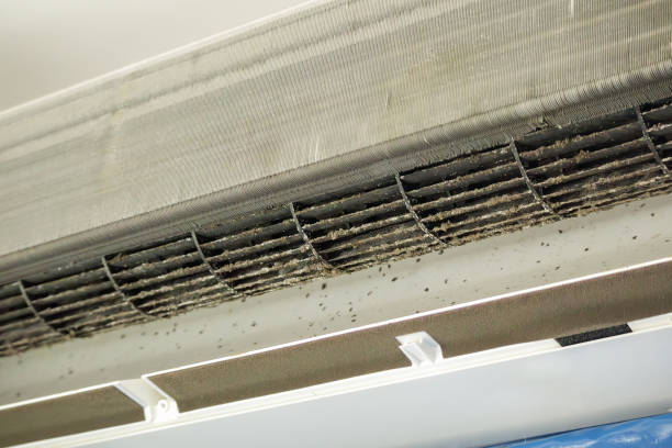 Best Duct Cleaning for Homes  in Raymondville, TX