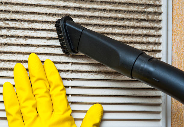 Best Affordable HVAC Duct Cleaning  in Raymondville, TX
